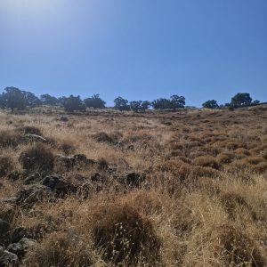 20260903_104534