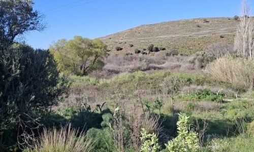 Πώληση αγροτεμάχιο με αποθήκη, Σκαλοχώρι Λέσβος EST-12 - Μείνε Εδώ Real Estate, pic 1