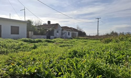 Οικόπεδο προς πώληση στο Κεράμι, κωδ EST-06 - Μείνε Εδώ Real Estate Λέσβος