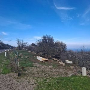 Βοσκότοπος πώληση Σκαλοχώρι Λέσβου, EST-15, φώτο - Μείνε Εδώ Real Estate