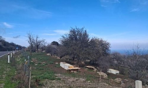 Βοσκότοπος πώληση Σκαλοχώρι Λέσβου, EST-15, φώτο - Μείνε Εδώ Real Estate